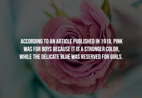 Random Facts (13 pics)