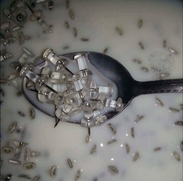 Odd And Funny Situations (51 pics)