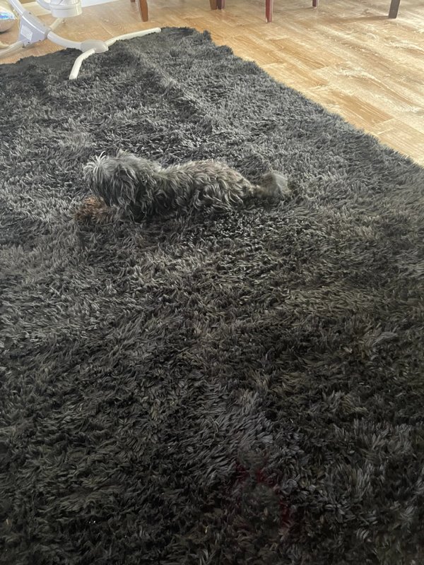 Accidental Camouflage (25 pics)