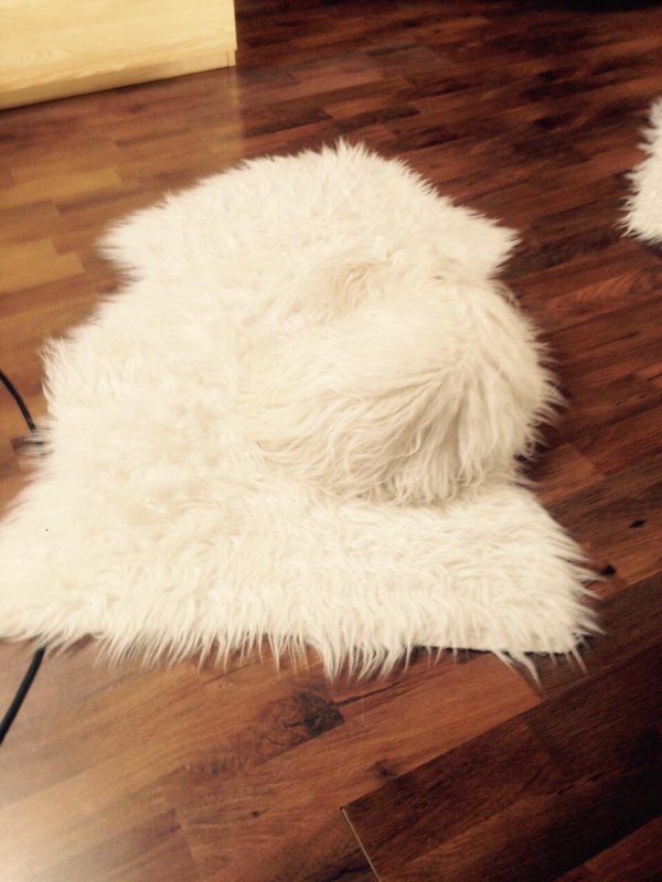 Accidental Camouflage (25 pics)