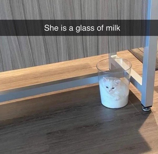 Accidental Camouflage (25 pics)
