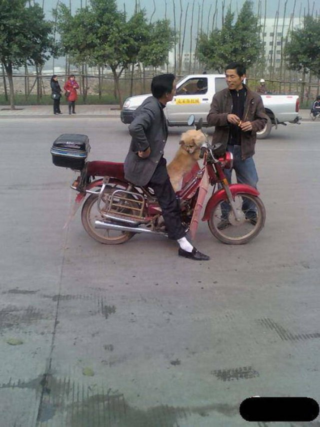 Strange Photos From Asian Countries (36 pics)