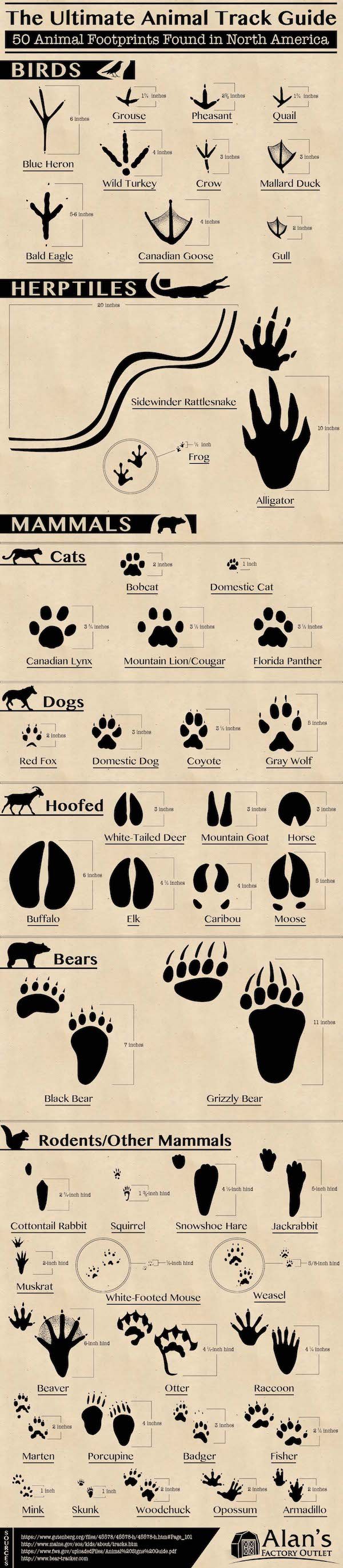 Interesting Data (24 pics)