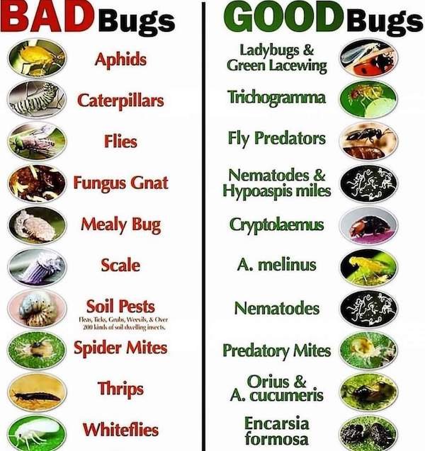 Interesting Data (24 pics)