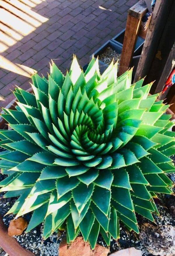 Photos For Perfectionists (45 pics) Photos For Perfectionists (45 pics)