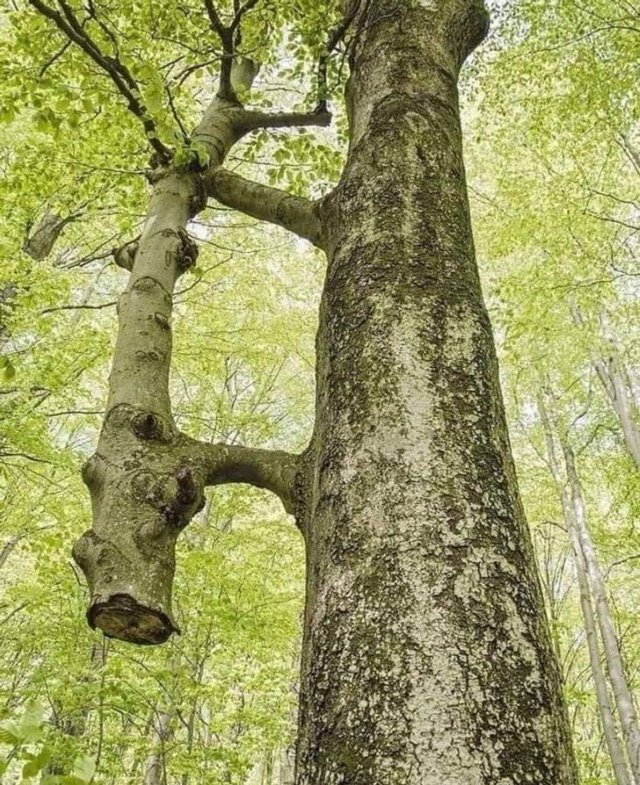 Unusual Finds (30 pics)