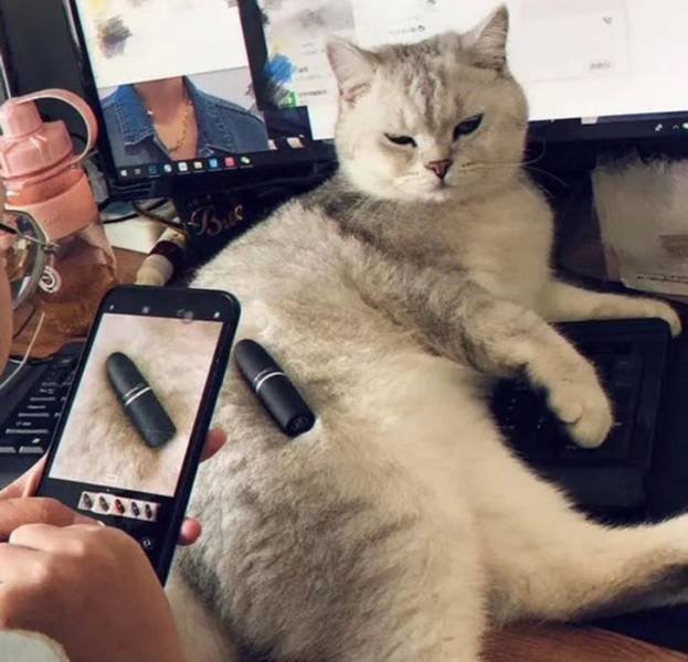 Interesting Lifehacks (15 pics) Interesting Lifehacks (15 pics)