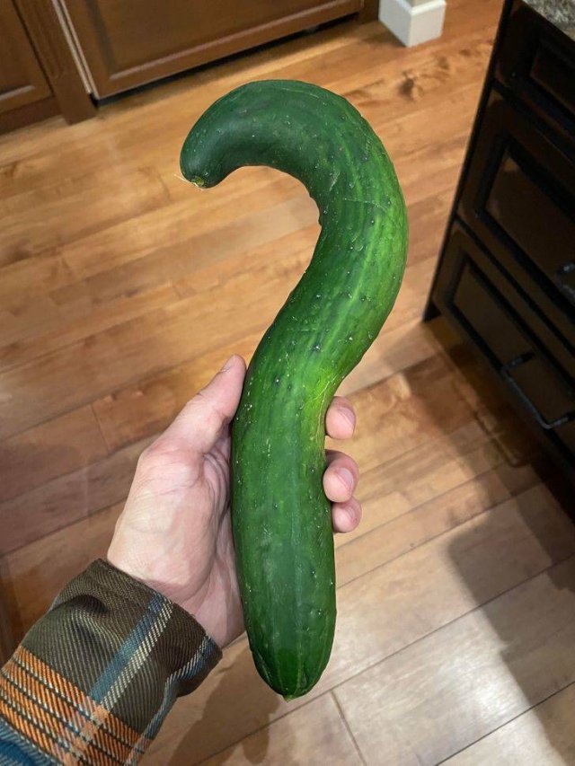 Unusual Finds (30 pics)