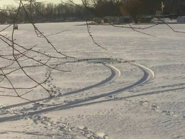 Unusual Finds And Situations (30 pics)