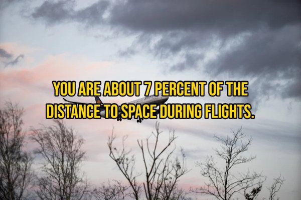Interesting Facts About Planes (15 pics)