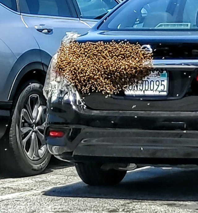 Interesting Finds (16 pics) Interesting Finds (16 pics)