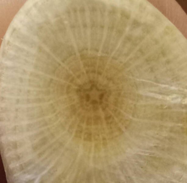 Interesting Finds (16 pics)