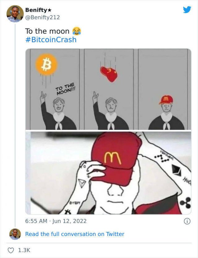 Memes About Crypto Crash (28 pics)