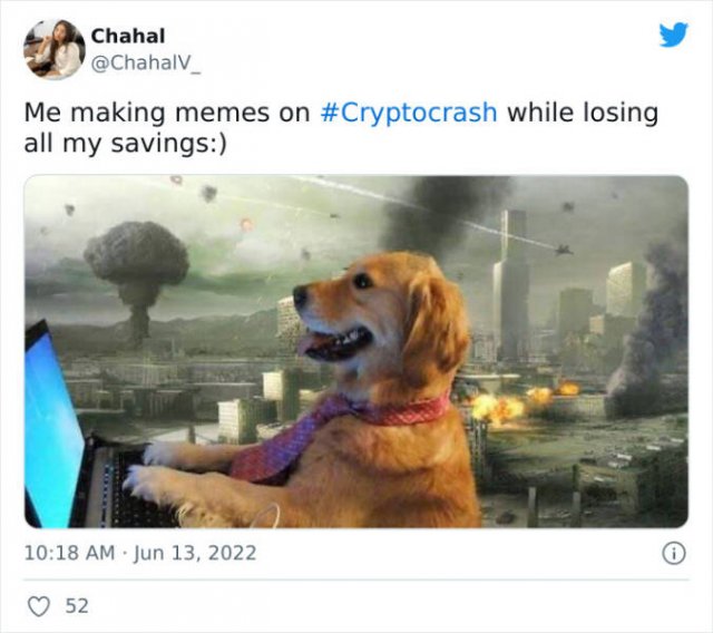 Memes About Crypto Crash (28 pics)