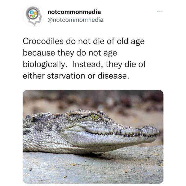 Random Facts (36 pics)