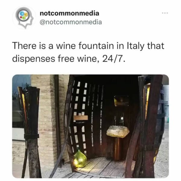Random Facts (36 pics)