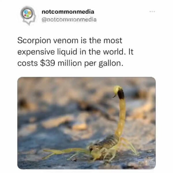 Random Facts (36 pics)