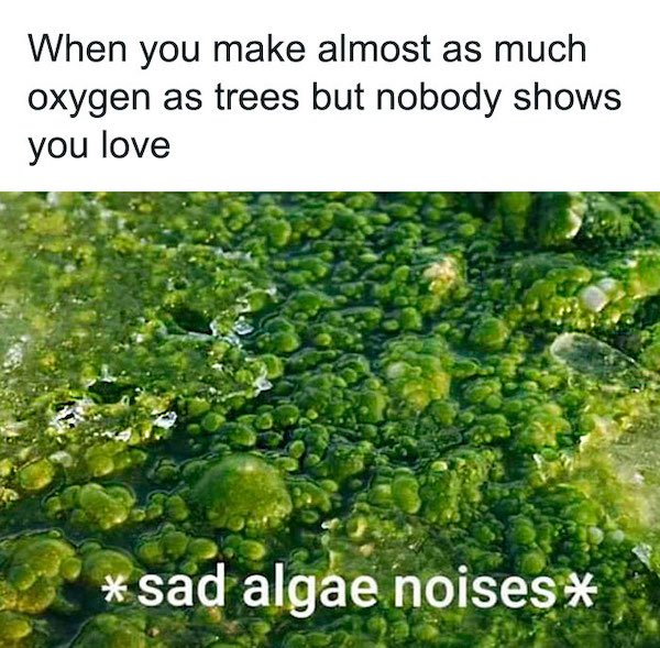 Science Memes (29 pics)