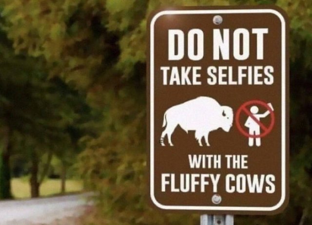 Funny Signs (26 pics)