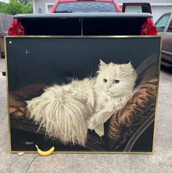 Weird Finds In Thrift Shops (61 pics)
