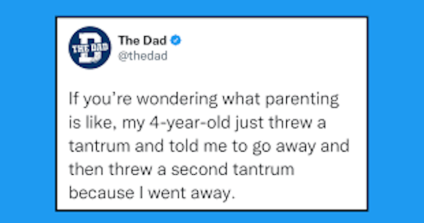 Funny Parenting Tweets (20 pics)