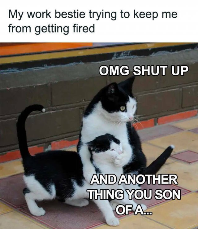 Work Memes (37 pics)