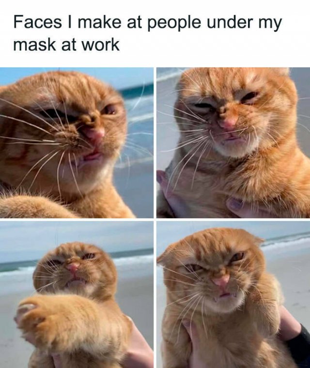 Work Memes (37 pics)