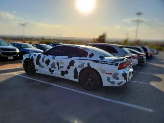 Crazy Cars (47 pics)