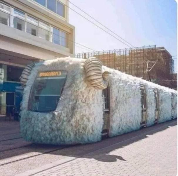 Crazy Cars (47 pics)