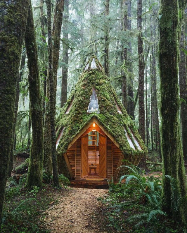 Amazing Nature (40 pics)
