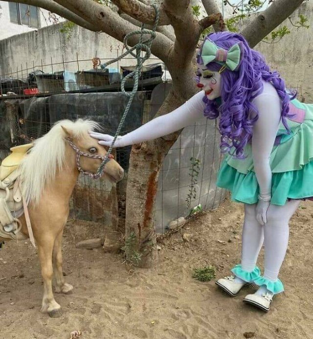 What's Going On Here? (25 pics)