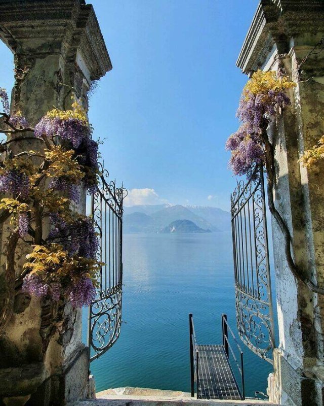 Amazing Nature (40 pics)