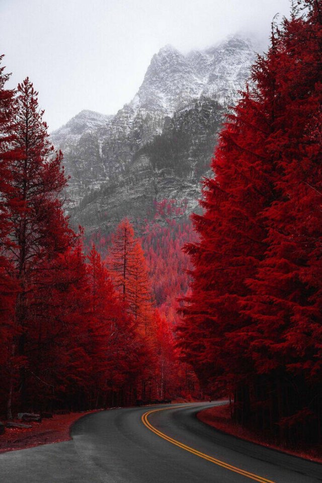 Amazing Nature (40 pics)