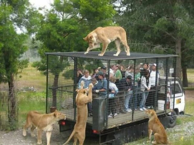 What's Going On Here? (25 pics)