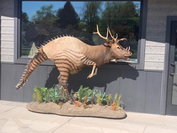 Weird Designs (27 pics)
