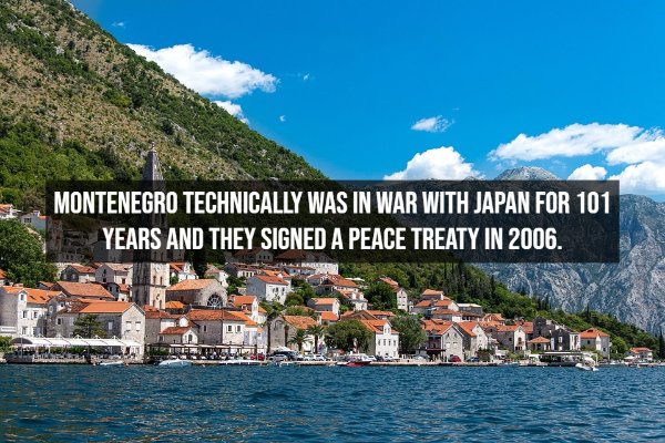 Interesting Facts (15 pics)