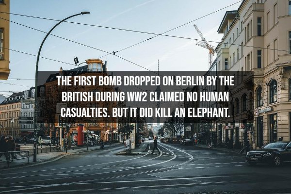 Interesting Facts (15 pics)