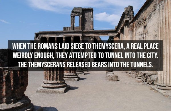 Interesting Facts (15 pics)