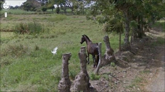 Unusual Finds On ''Google Street View'' (47 pics)