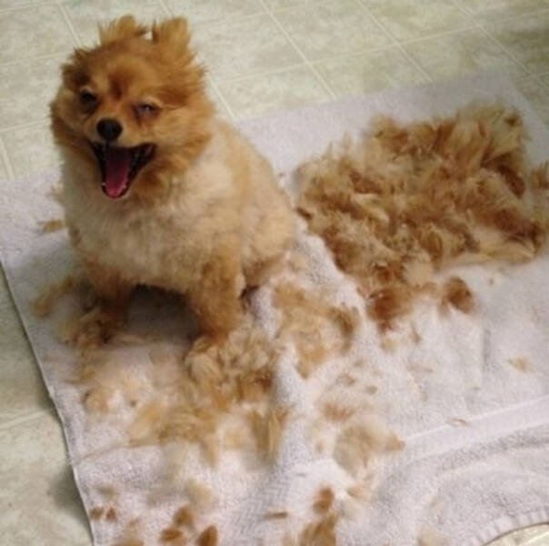 Bad Days Happen (32 pics) Bad Days Happen (32 pics)