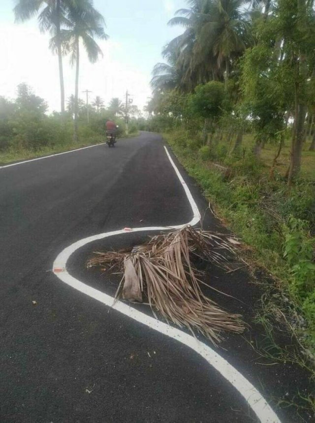 Funny Fails (29 pics)