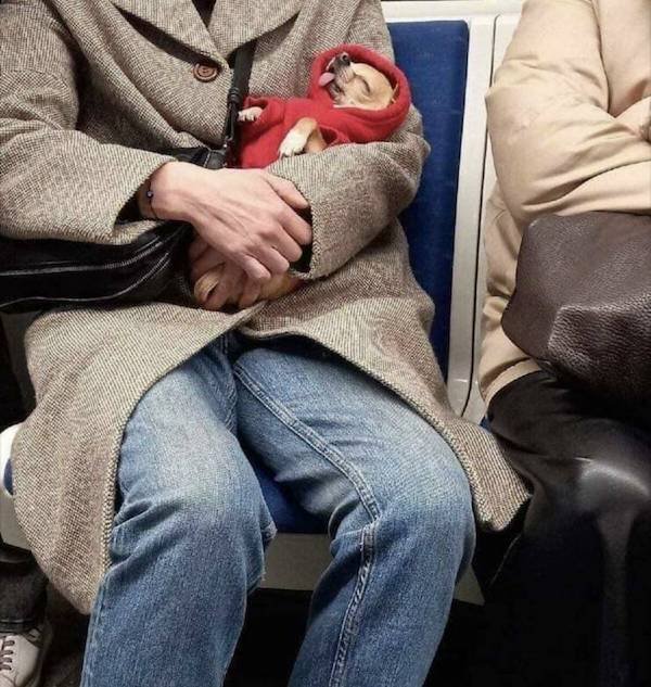 Unusual People In The Subway (35 pics)