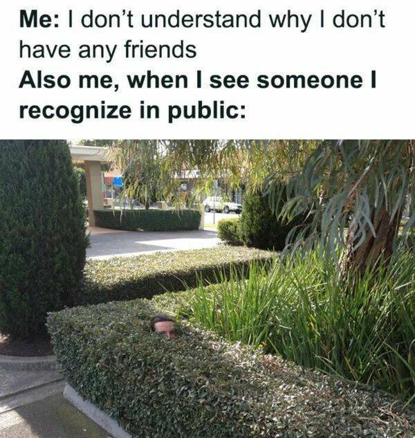 Memes For Introverts (22 pics)