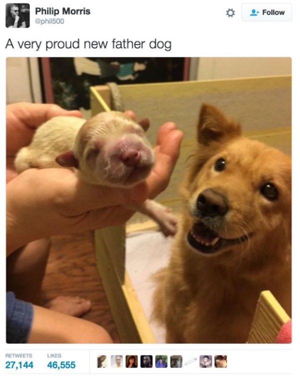 Random Memes (23 pics)