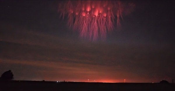 Scary Finds (26 pics)