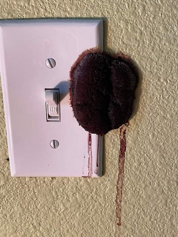 Scary Finds (26 pics)