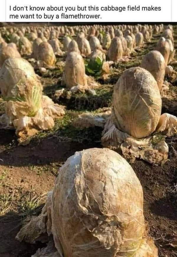 Scary Finds (26 pics)