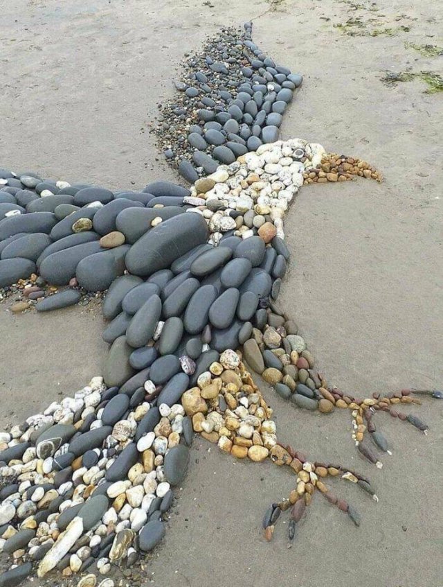 Interesting Finds At The Beach (37 pics)