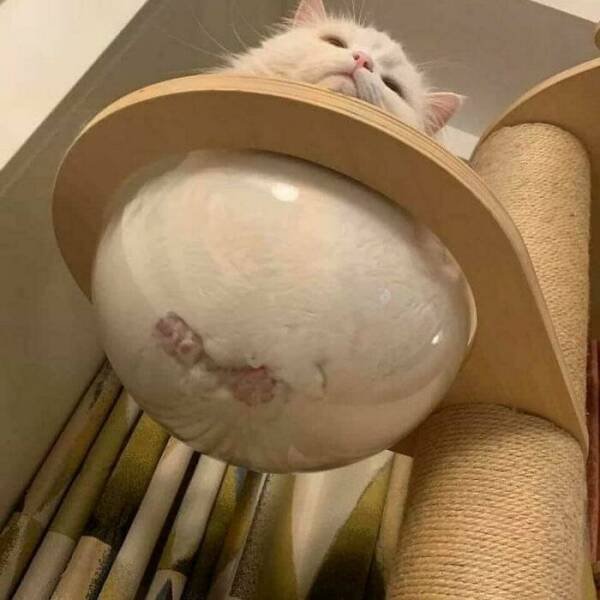 Funny Finds And Situations (47 pics)