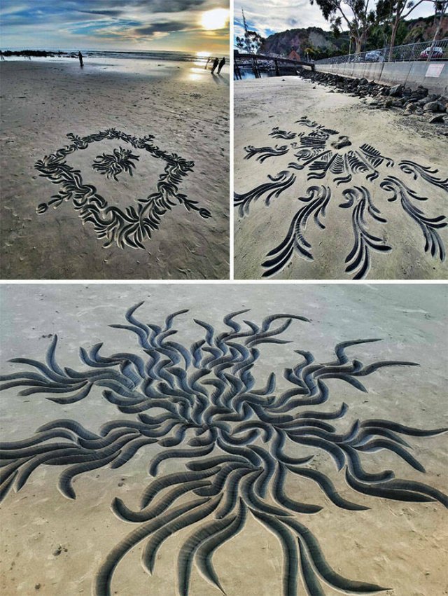 Interesting Finds At The Beach (37 pics)